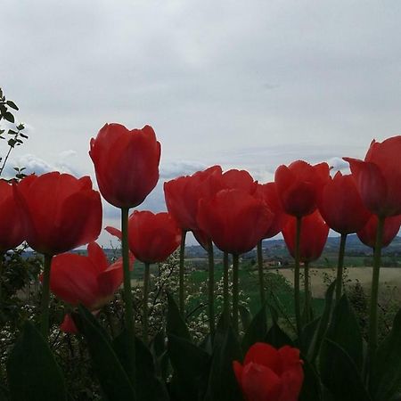 B&B Monferrato La Casa Sui Tetti Murisengo Dış mekan fotoğraf