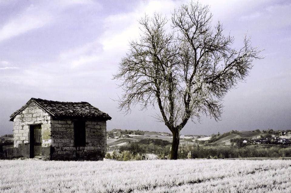 B&B Monferrato La Casa Sui Tetti Murisengo Dış mekan fotoğraf