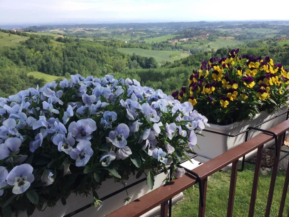 B&B Monferrato La Casa Sui Tetti Murisengo Dış mekan fotoğraf