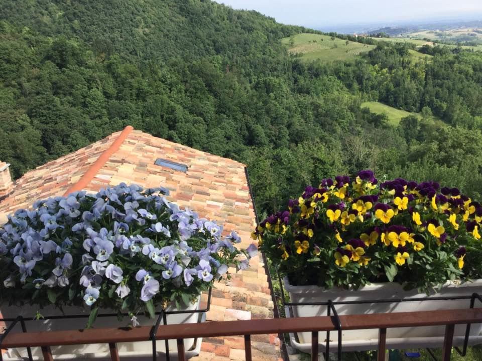 B&B Monferrato La Casa Sui Tetti Murisengo Dış mekan fotoğraf