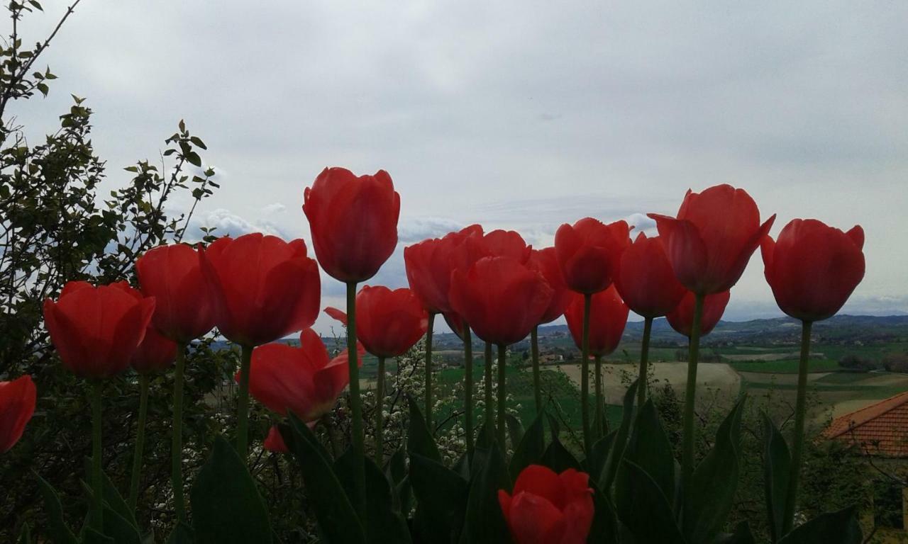 B&B Monferrato La Casa Sui Tetti Murisengo Dış mekan fotoğraf